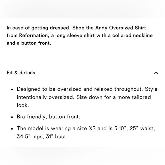 Reformation Andy Oversized Shirt in taupe stripe - Picture 4 of 8